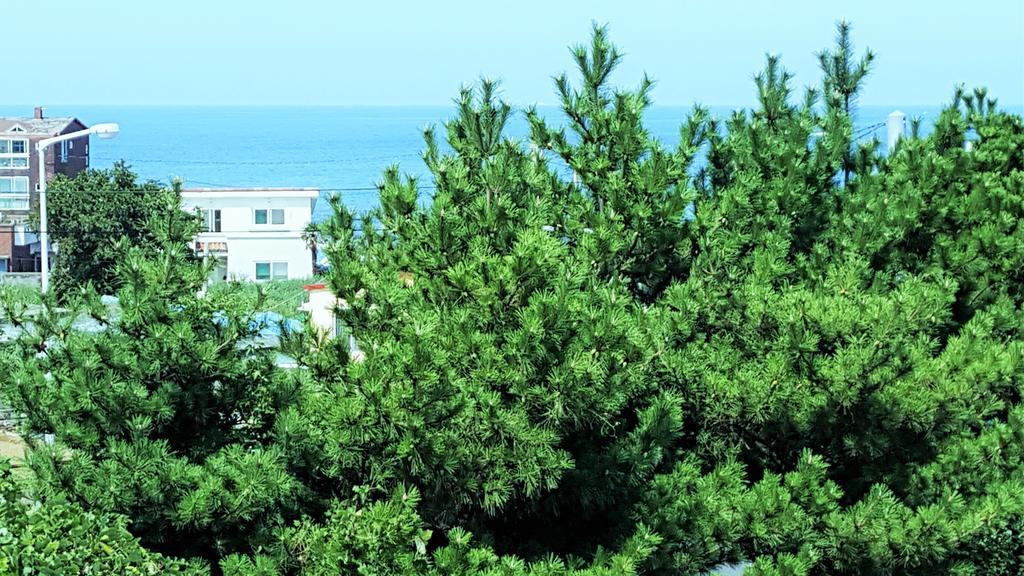 Cardinal House Vila Jeju Exterior foto